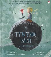 Tywysog Bach, Y / Little Prince, The (Hardback)