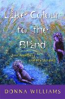 Like Colour to the Blind: Soul Searching and Soul Finding (Paperback)
