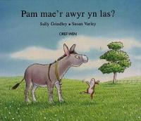 Pam Mae'r Awyr yn Las? (Hardback)