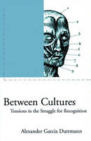 Between Cultures: Tensions in the Struggle for Recognition - Phronesis S. (Hardback)