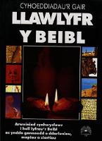 Llawlyfr y Beibl (Hardback)