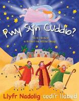 Pwy Sy'n Cuddio? (Nadolig) (Paperback)