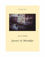 Journey by Moonlight (Paperback)