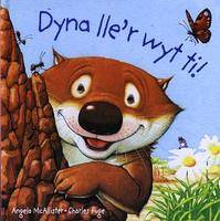 Dyna Lle'r Wyt Ti (Hardback)