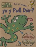 Olion Traed Bach: 3. Pwy Sy'n Mwynhau yn y Pwll Dŵr?: Pwy Sy'n Mwynhau yn y Pwll Dwr? (Paperback)