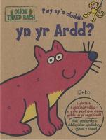 Olion Traed Bach: 2. Pwy Sy'n Cloddio yn yr Ardd?: Pwy Sy'n Cloddio yn yr Ardd? (Paperback)