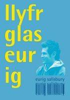 Llyfr Glas Eurig (Paperback)