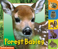 Animal Tabs: Forest Babies (Board book)