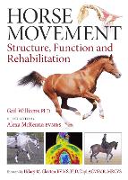 Horse Movement