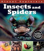 Insects and Spider - Visual Explorers 7 (Paperback)