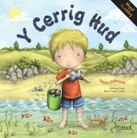Y Cerrig Hud (Paperback)