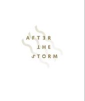 After the Storm (Hardback)