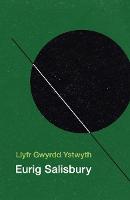 Llyfr Gwyrdd Ystwyth (Paperback)