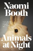 Animals at Night (Paperback)