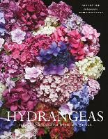 Hydrangeas: Beautiful Varieties for Home and Garden (Hardback)