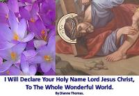 I Will Declare Your Holy Name Lord Jesus Christ, To The Whole Wonderful World. (Paperback)