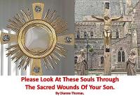 Please Look At These Souls Through The Sacred Wounds Of Your Son. (Paperback)
