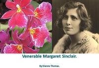 Venerable Margaret Sinclair. (Paperback)