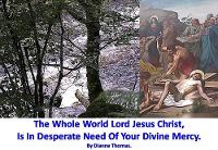 The Whole World Lord Jesus Christ, Is In Desperate Need Of Your Divine Mercy. (Paperback)