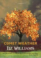 Comet Weather (Hardback)