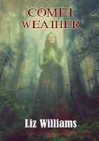 Comet Weather (Paperback)