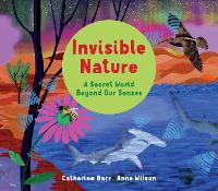 Invisible Nature: A Secret World Beyond our Senses (Paperback)
