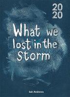 What We Lost In The Storm