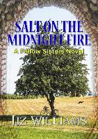 Salt on the Midnight Fire - The Fallow Sisters 4 (Paperback)