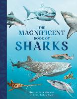 The Magnificent Book of Sharks - The Magnificent Book of 3 (Hardback)