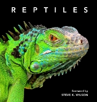 Reptiles: Deluxe Series (Hardback)