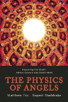 The Physics of Angels: Exploring the Realm Where Science and Spirit Meet (Paperback)