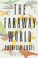 The Faraway World: Stories (Paperback)