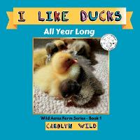 I Like Ducks: All Year Long - Wild Acres Farm 1 (Paperback)