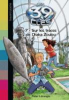 Sur les traces de Chaka Zoulou (Paperback)