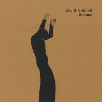 David Noonan: Scenes (Hardback)
