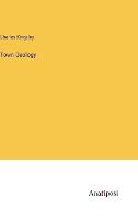 Town Geology (Hardback)