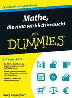 Mathe, die man wirklich braucht für Dummies - Für Dummies (Paperback)