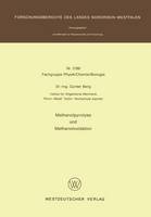 Methanolpyrolyse und Methanoloxidation - Fachgruppe Physik, Chemie, Biologie 3189 (Paperback)