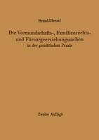 Die Vormundschafts-, Familienrechts- und Fürsorgeerziehungssachen in der gerichtlichen Praxis (Paperback)