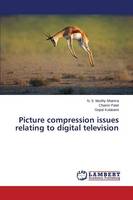 Picture Compression Issues Relating to Digital Television (Paperback)