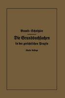 Die Grundbuchsachen in der gerichtlichen Praxis: einschließlich Aufwertung d. Grundstückspfandrechte (Paperback)
