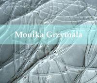 Monika Grzymala11Works 2000-2011 (Hardback)