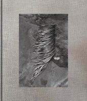 Viviane Sassen: Pikin Slee (Hardback)