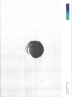 Adrián Villar Rojas: The End of Imagination (Paperback)