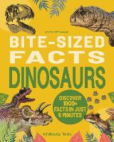 Bite-Sized Facts: Dinosaurs - Bite-Sized Facts (Hardback)