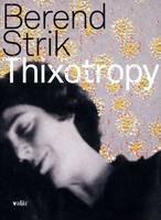 Berend Strik: Thixotropy (Hardback)