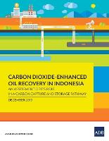Carbon Dioxide-Enhanced Oil Recovery in Indonesia: An Assessment of its Role in a Carbon Capture and Storage Pathway (Paperback)