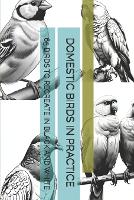 Domestic Birds in Practice: 65 Birds to Recreate in Black and White (Paperback)