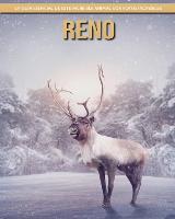 Reno: La guia esencial de este increible animal con fotos increibles (Paperback)