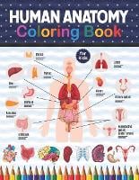 Human Anatomy Coloring Book For Kids: An Easier And Better Way To Learn Anatomy and kinesiology study. An Entertaining and Instructive Guide to the Human Body - Bones, Muscles, Blood, Nerves and How They Work. (Paperback)